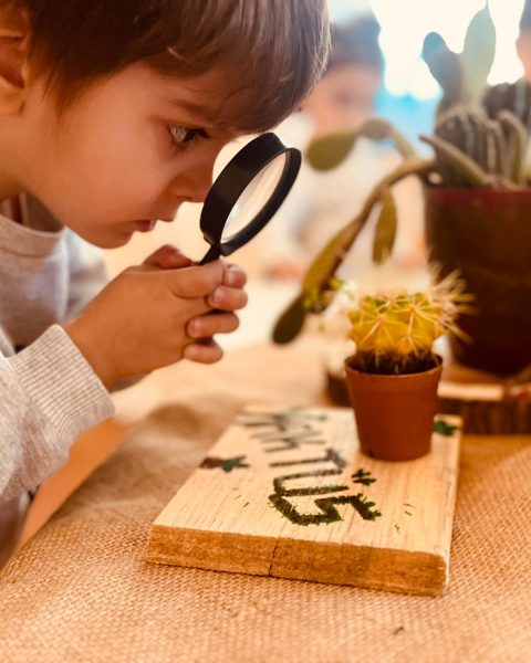 WhatsApp Görsel 2025-02-16 saat 20.57.47_0bfc4c73 WhatsApp Görsel 2025-02-16 saat 20.57.47_0bfc4c73